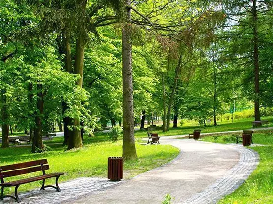 park - tereny zielone